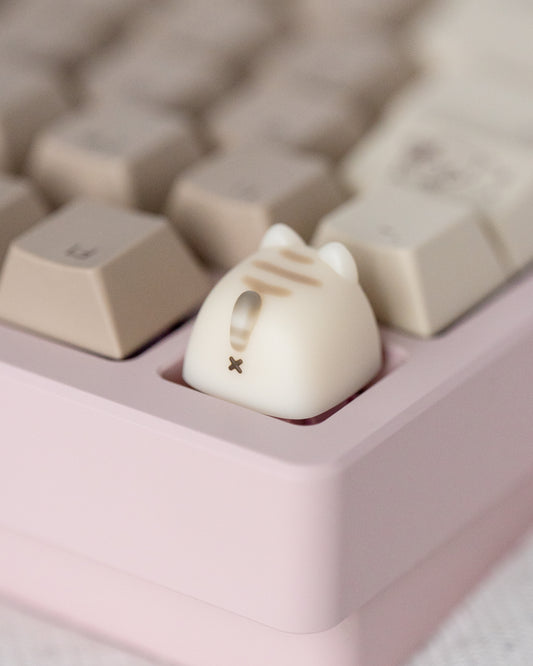 Mocha miso (cream tabby)