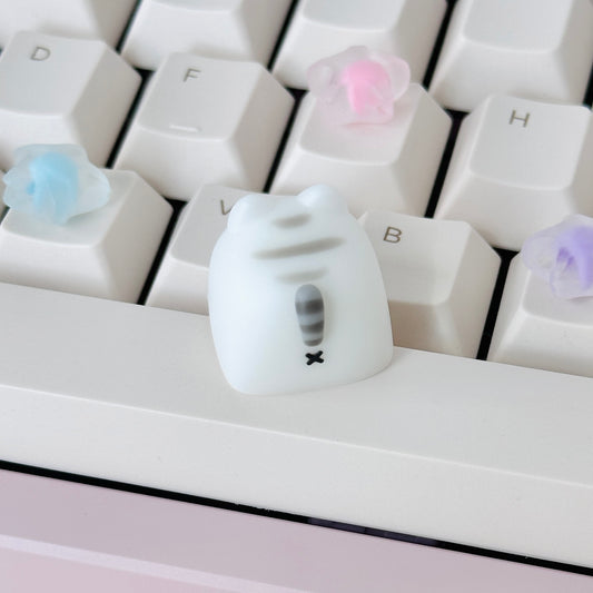 mack miso (grey/white tabby)