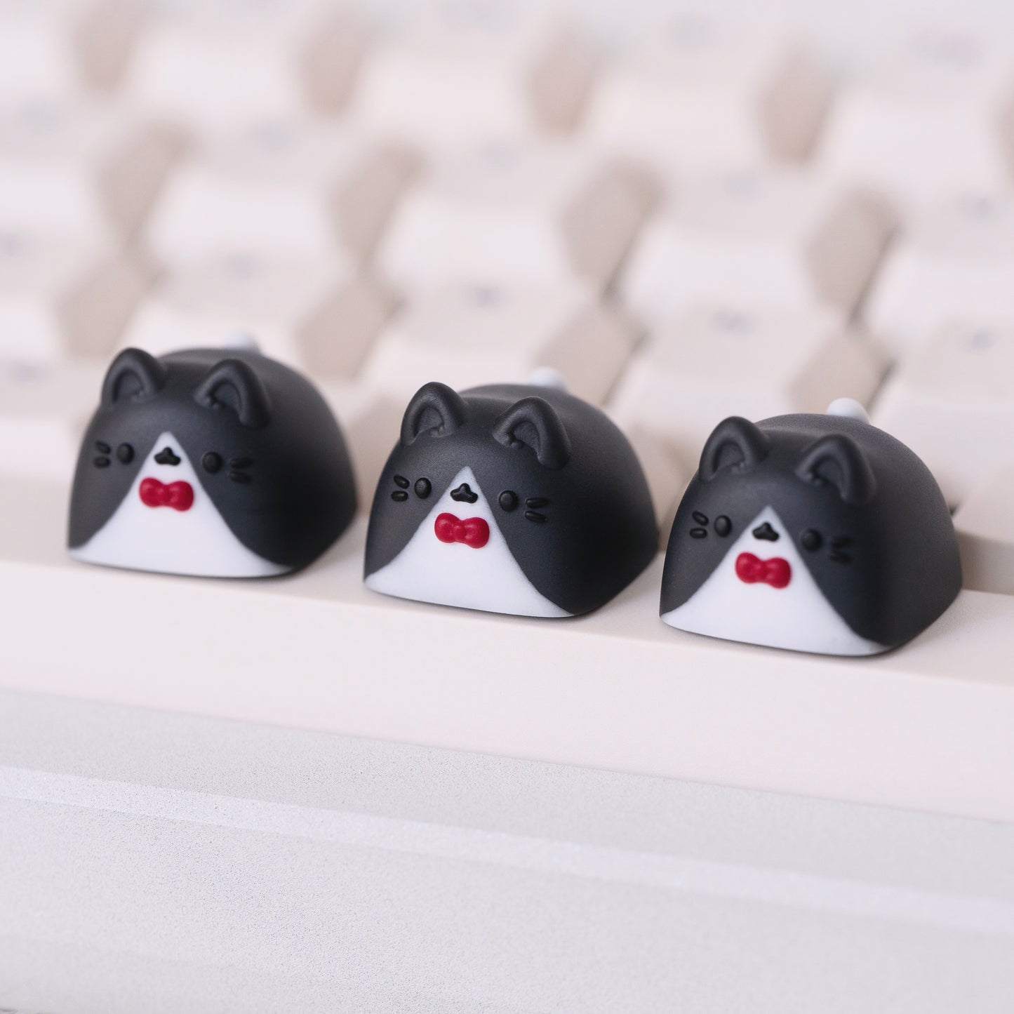 tuxedo miso