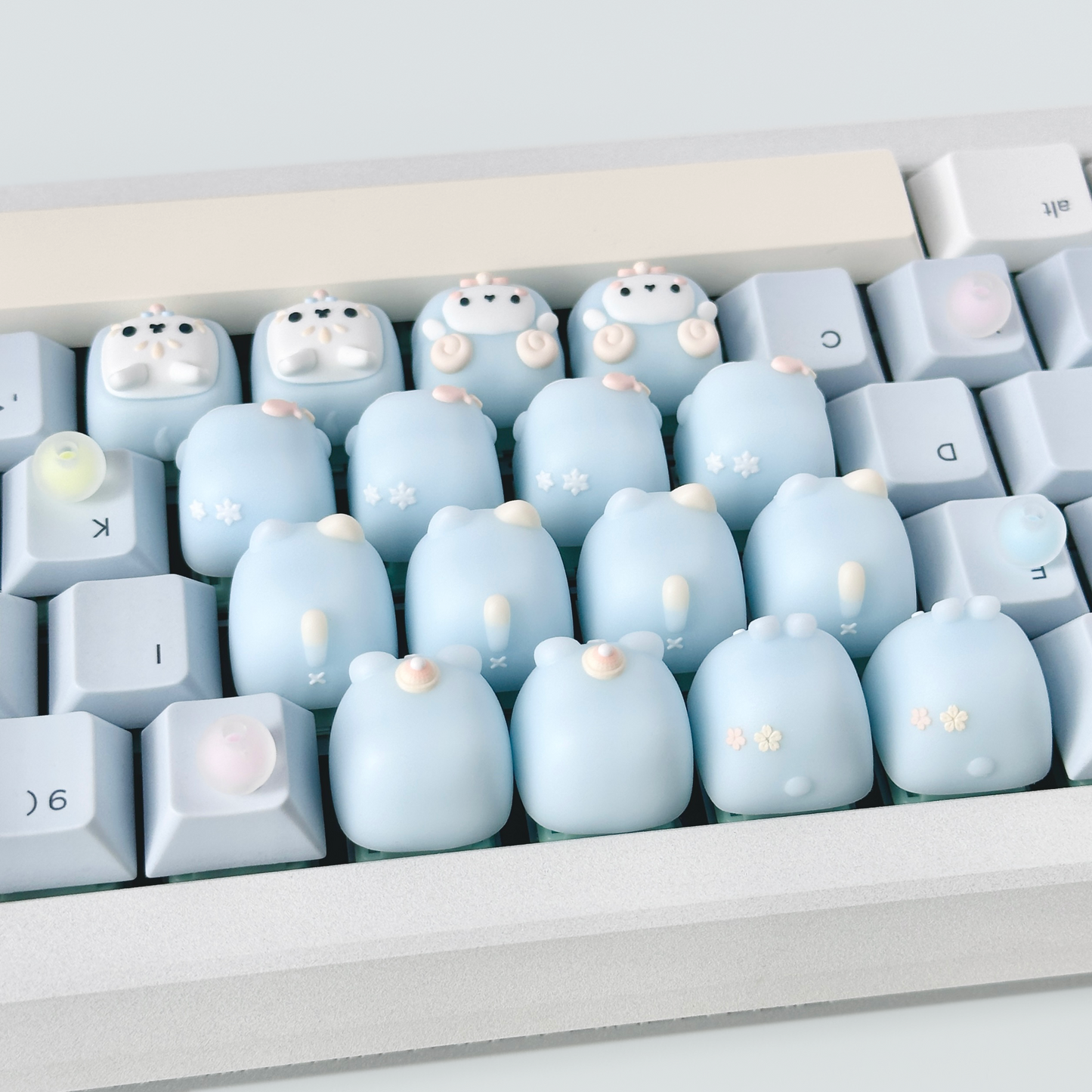 Winterglow miso (blue)