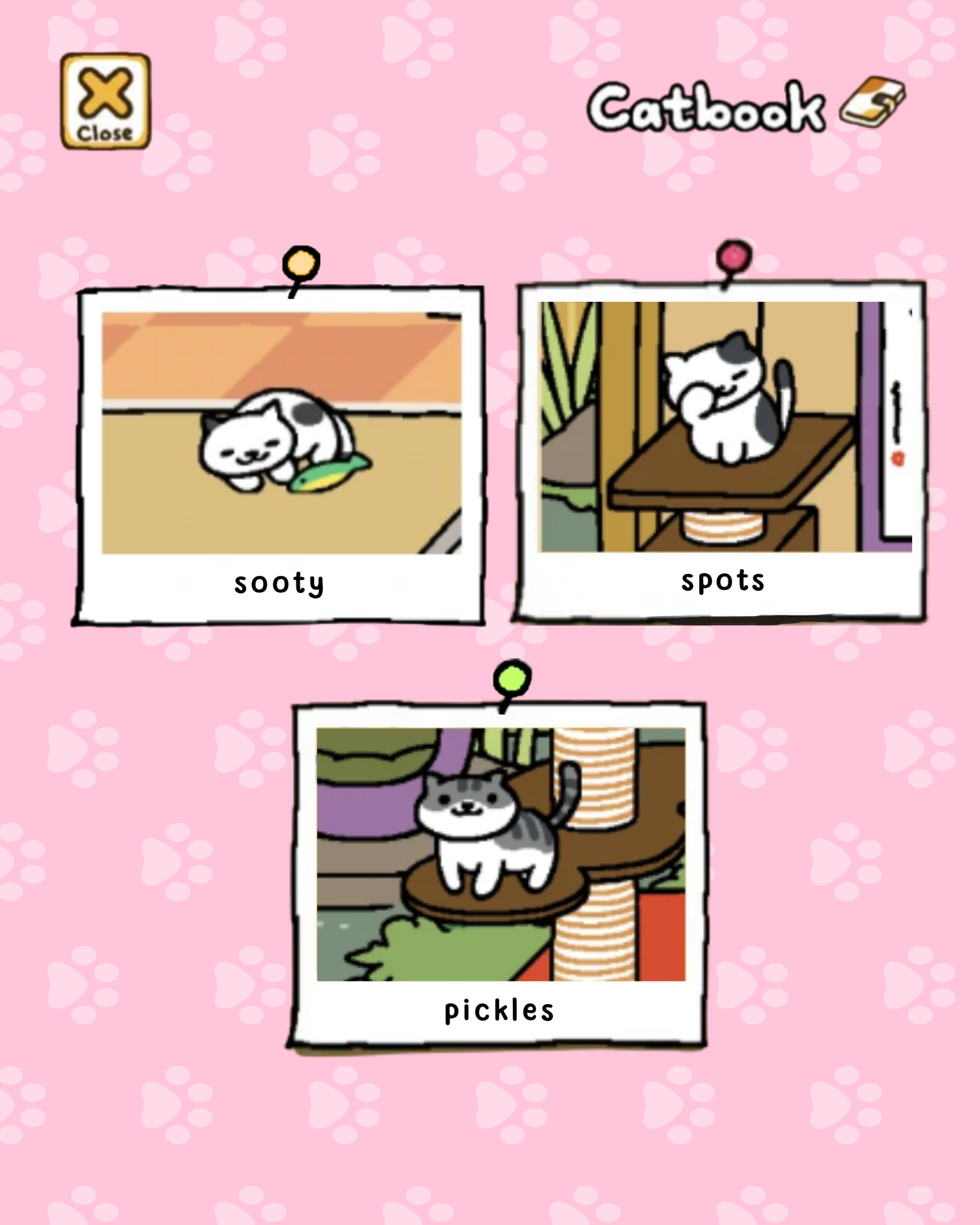 sooty miso