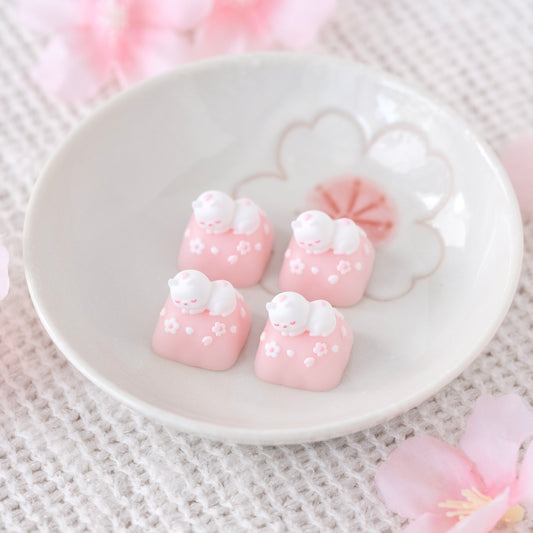 sakura sleeping kitty