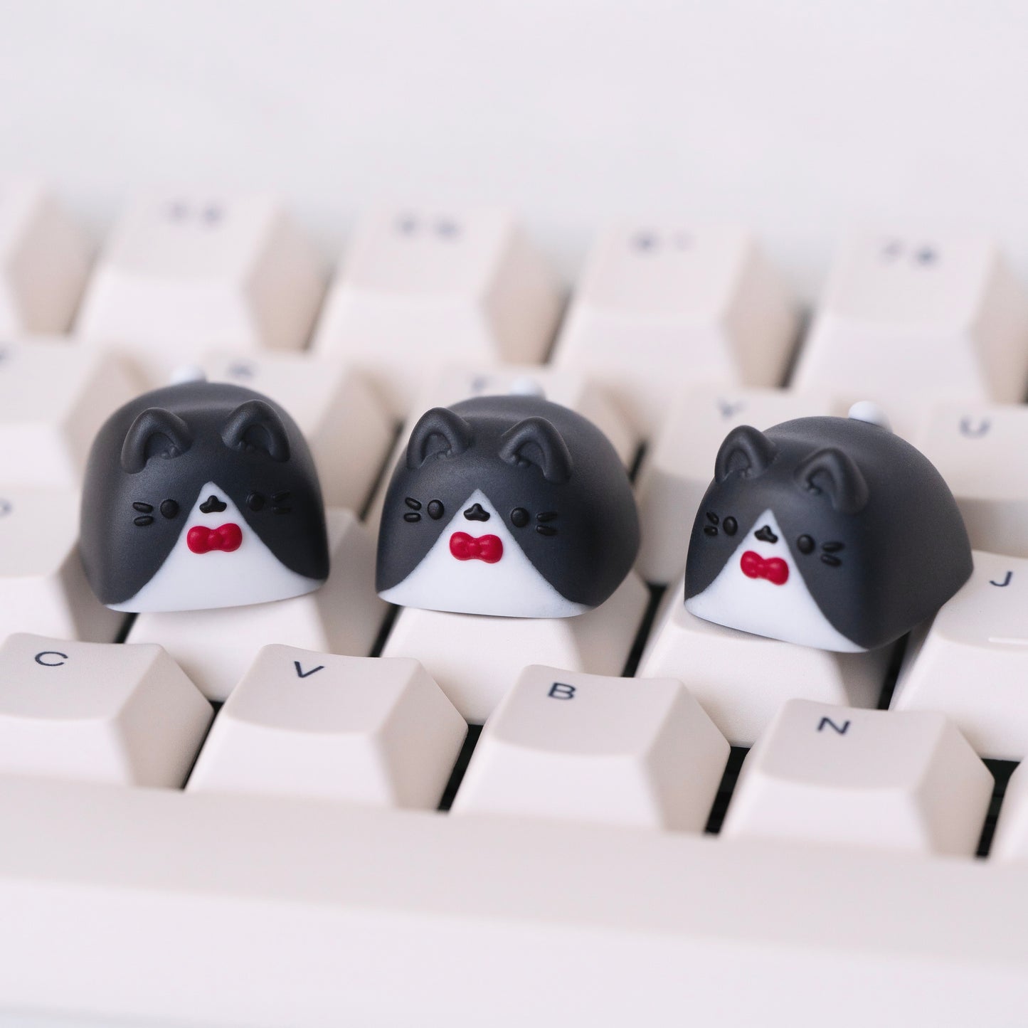 tuxedo miso