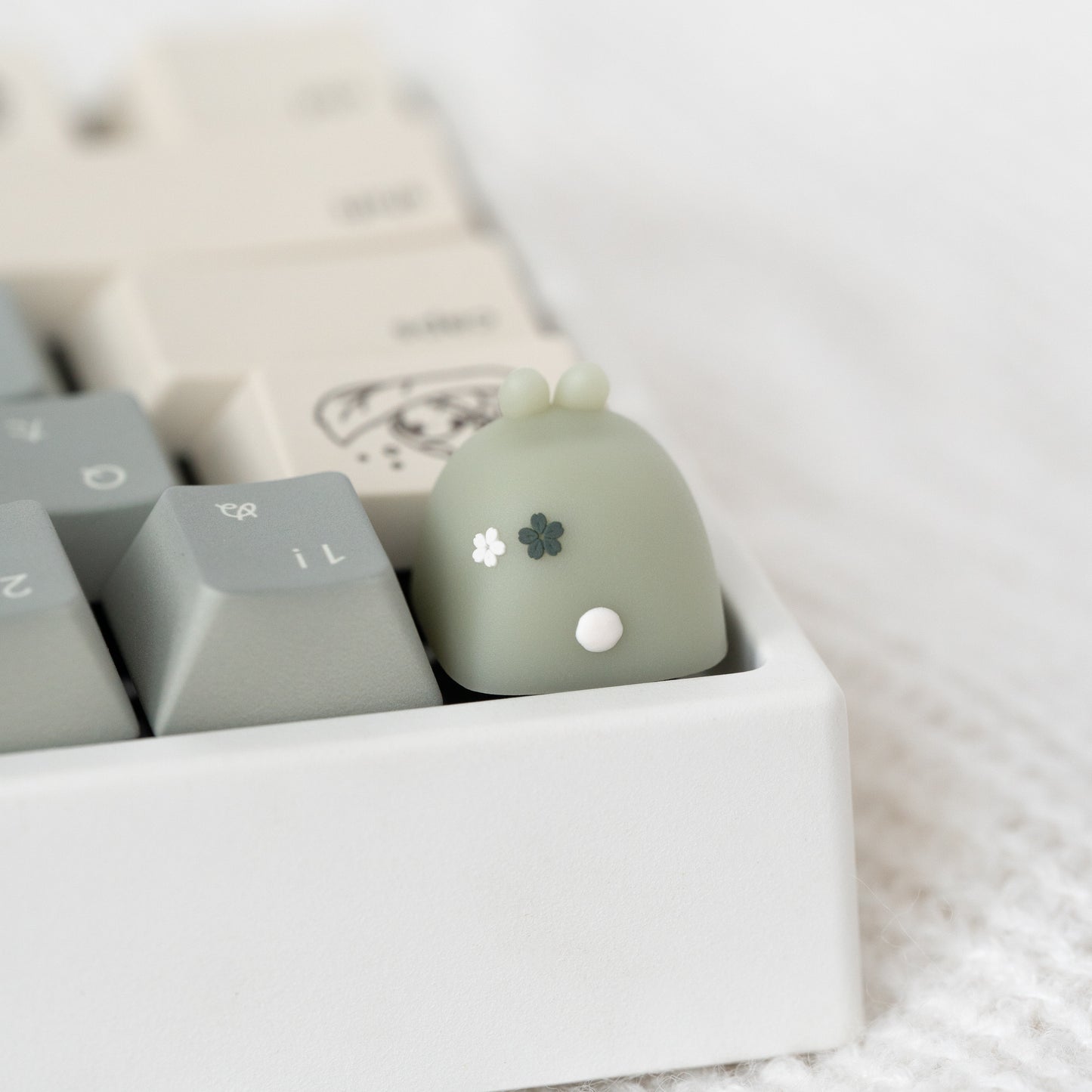 mori coco (green)