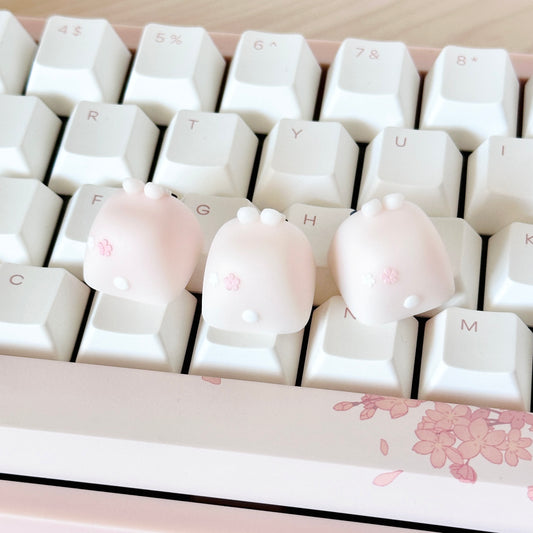 sakura coco artisan (B GRADE)