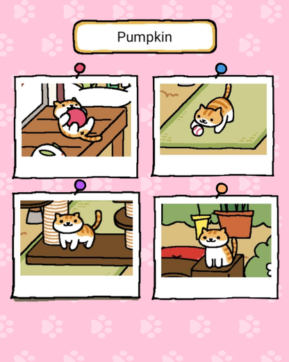 pumpkin miso