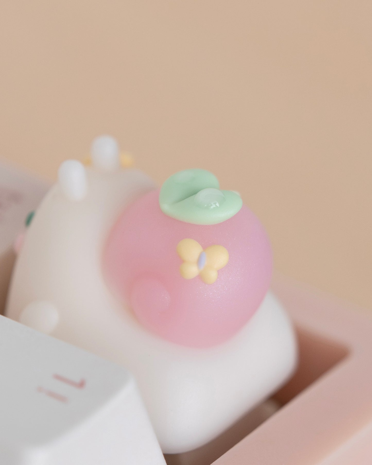 blossom tama