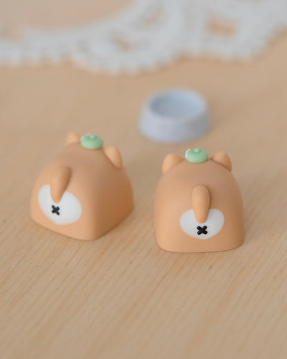 corgi mochi