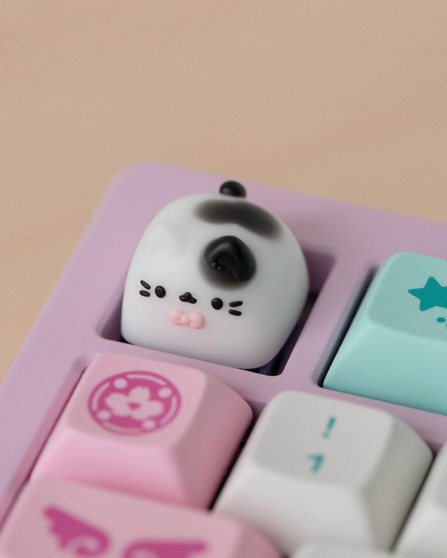 spots miso