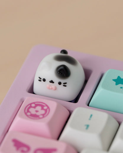 spots miso
