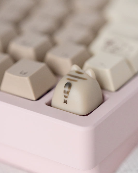 Mocha miso (brown tabby)