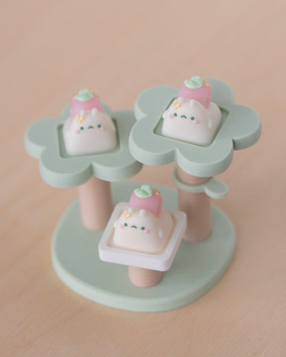 blossom tama