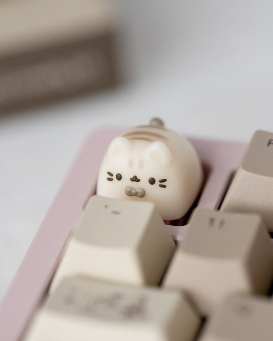 Mocha miso (cream tabby)