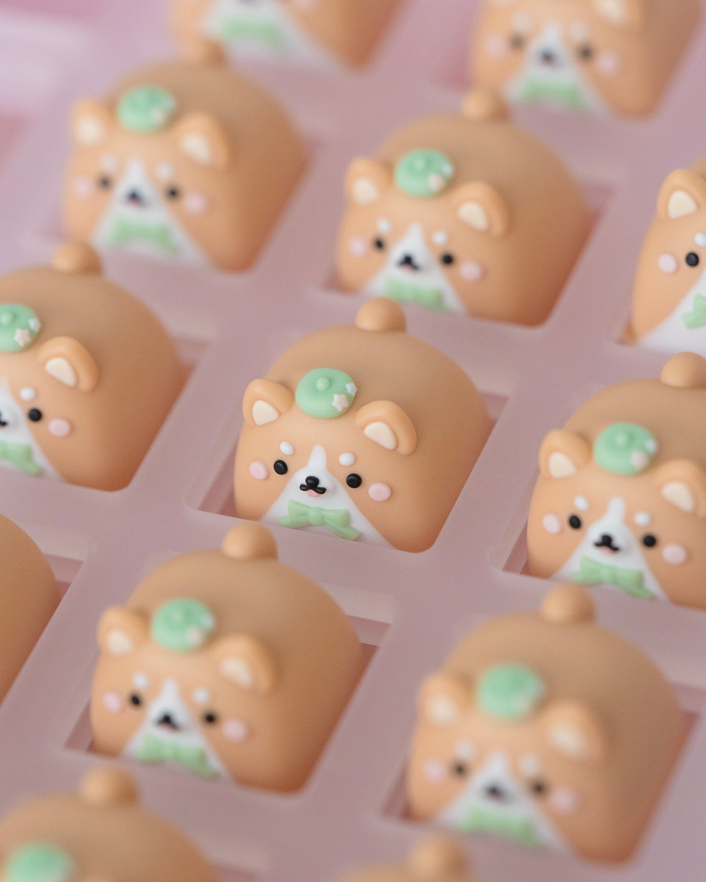 corgi mochi