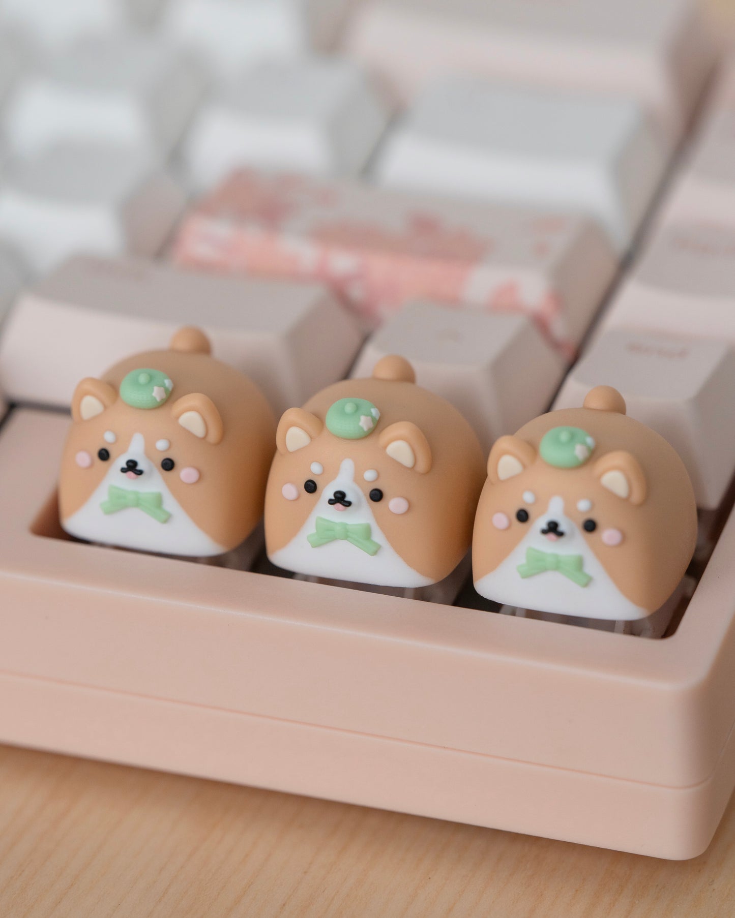 corgi mochi