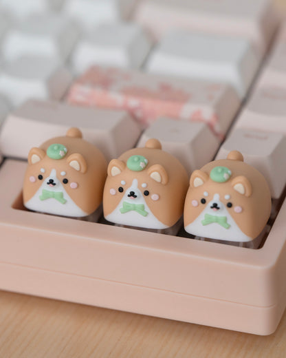 corgi mochi