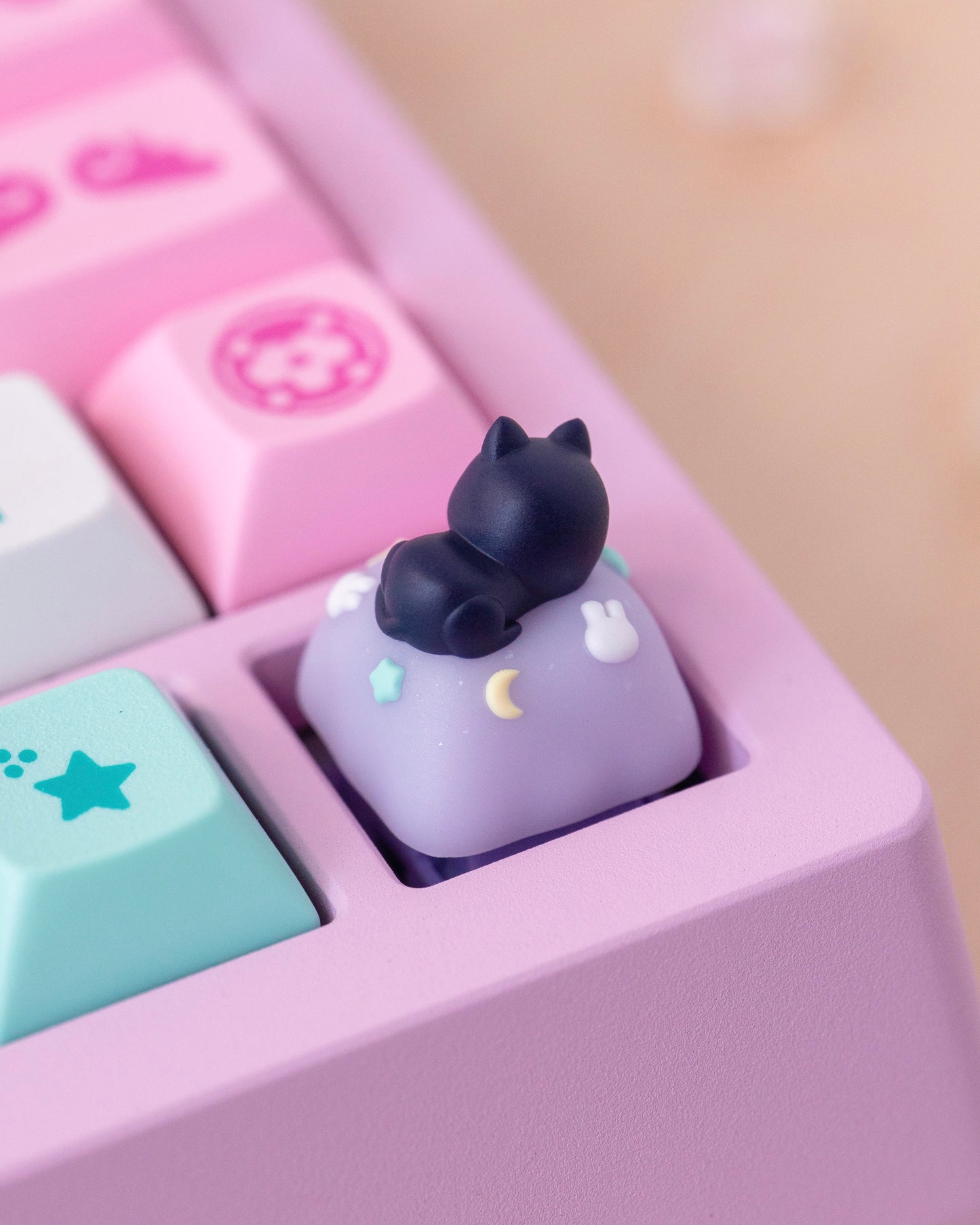 luna sailor kitty