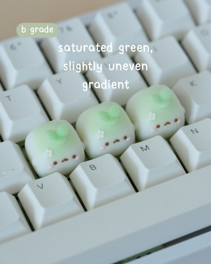 b-grade daikon (bright green)