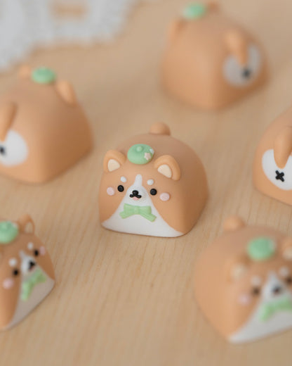 corgi mochi
