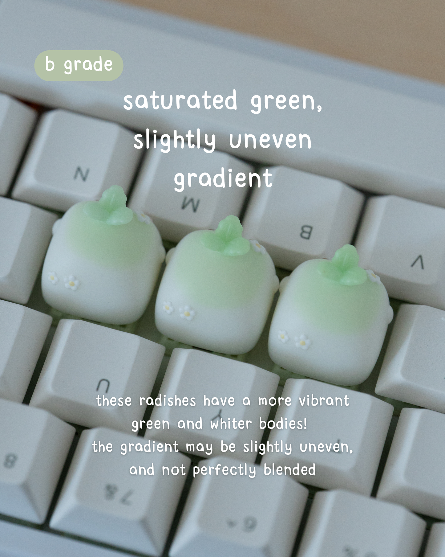 b-grade daikon (bright green)
