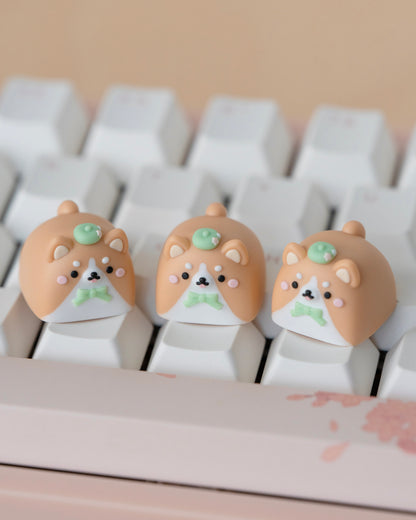 corgi mochi