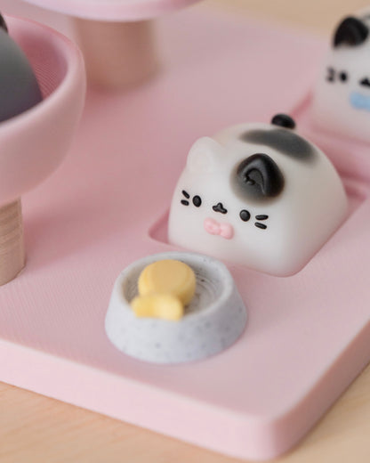 spots miso