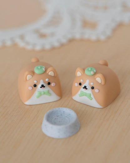 corgi mochi
