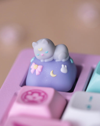 sleepy diana kitty