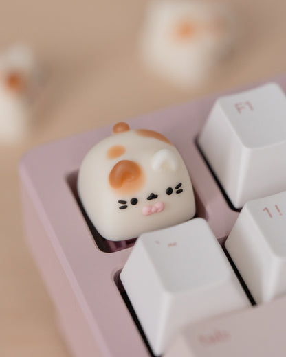 peaches miso