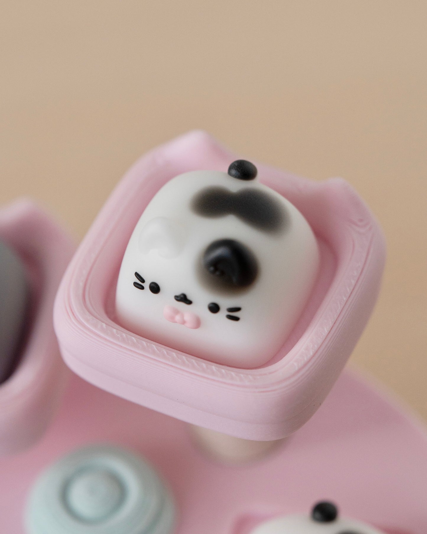 spots miso