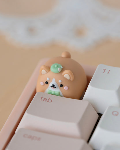 corgi mochi