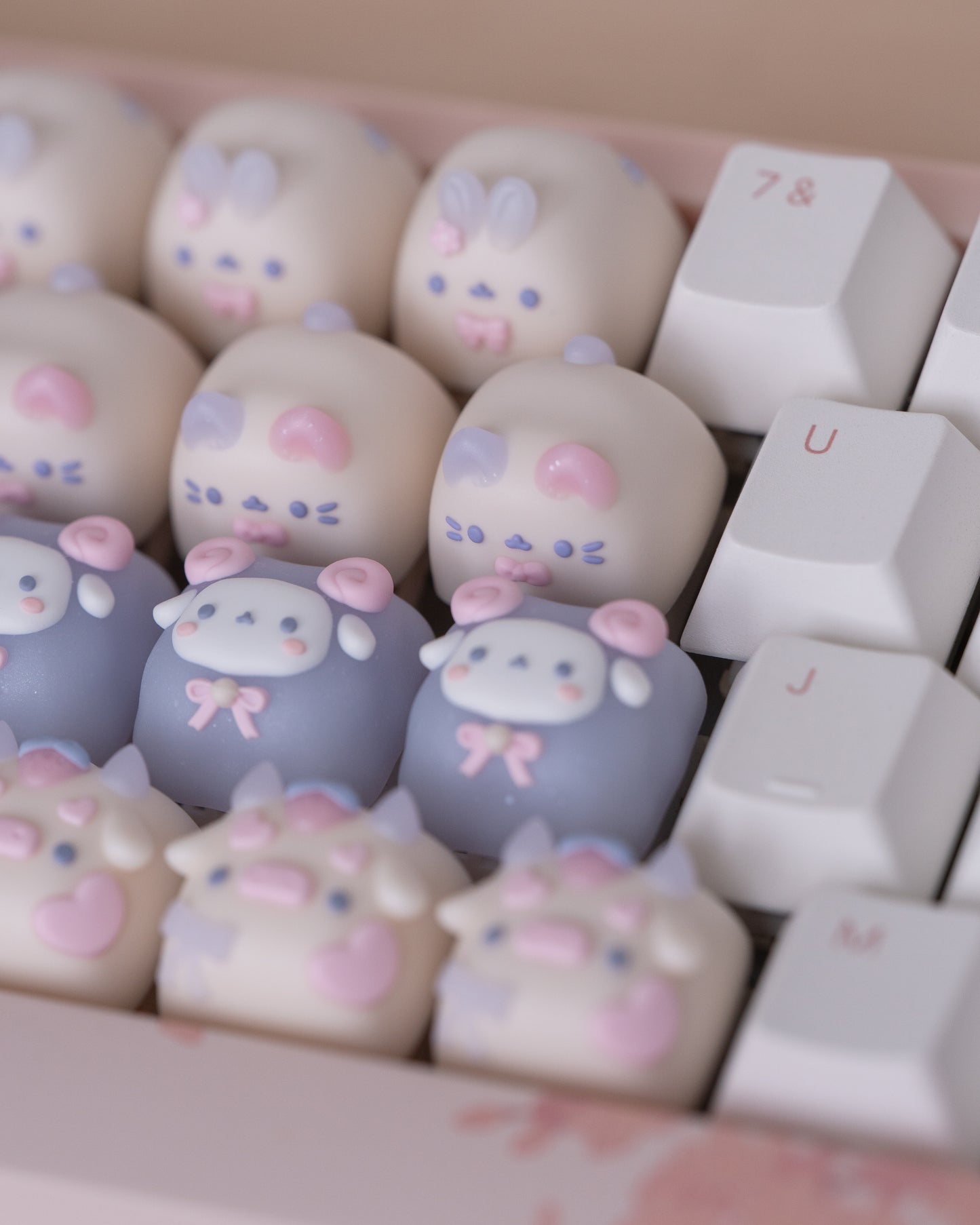 fairydust miso