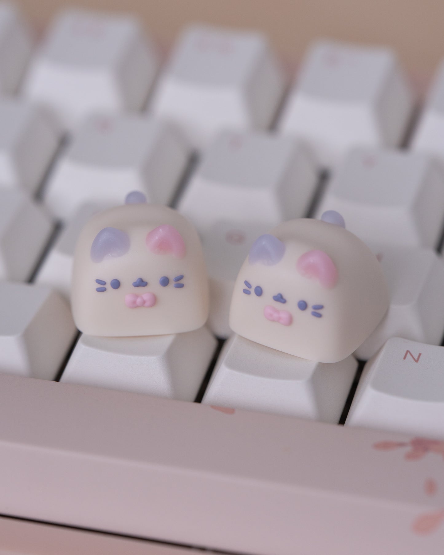 fairydust miso