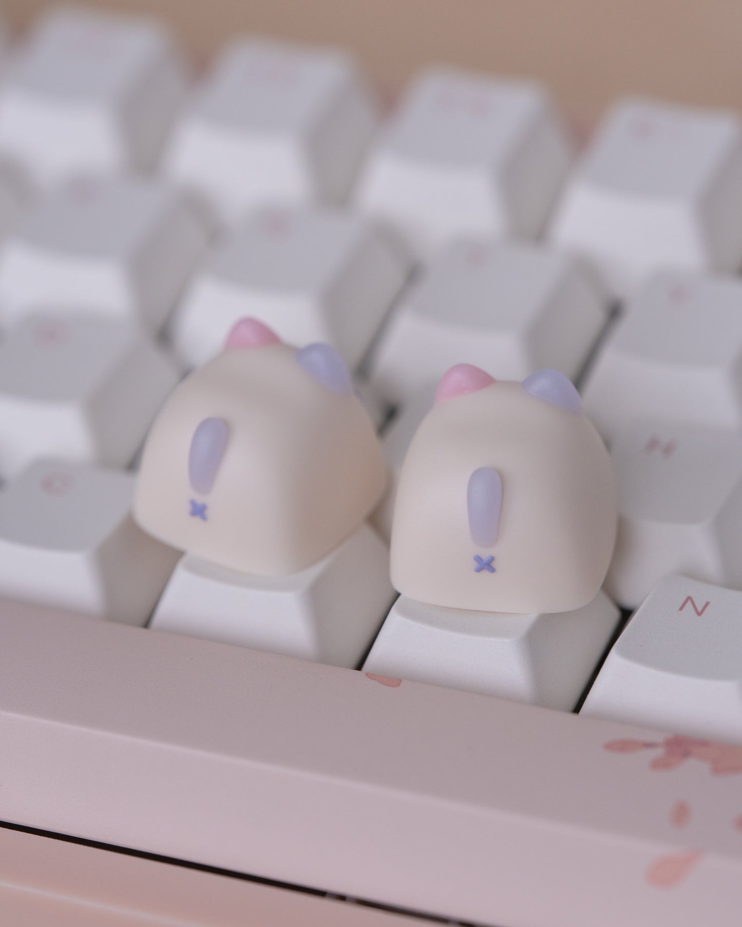 fairydust miso