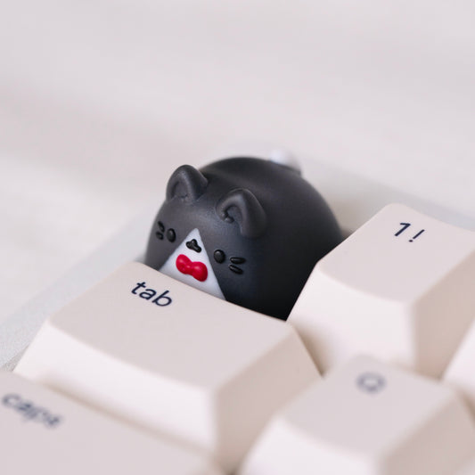 tuxedo miso